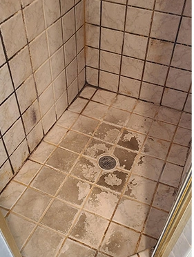 Tile & Grout Before Cleaning