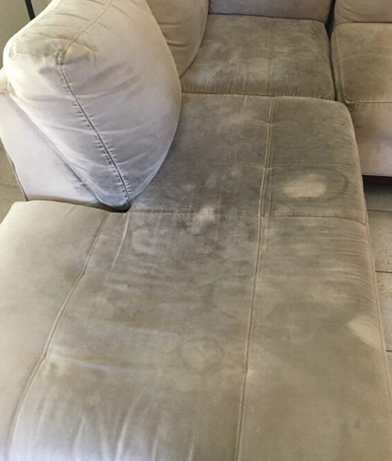 Upholstery Before Cleaning